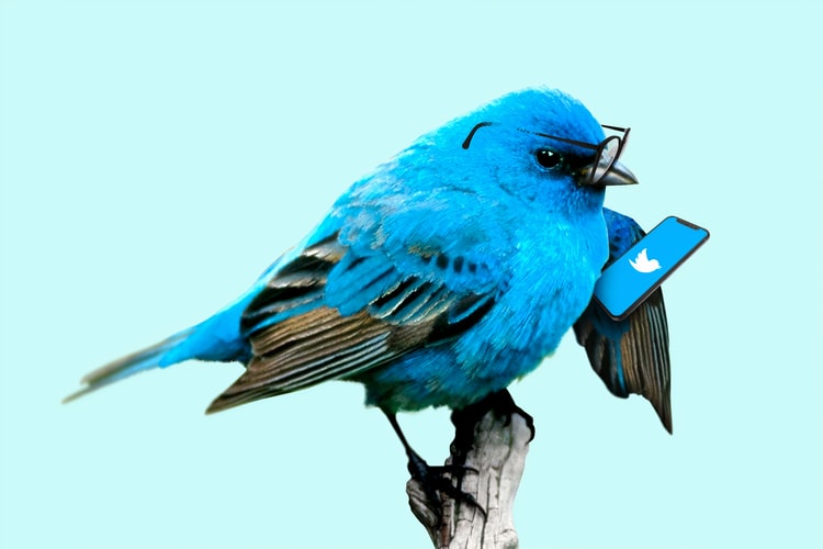 mejores prácticas para proteger tu cuenta de twitter
